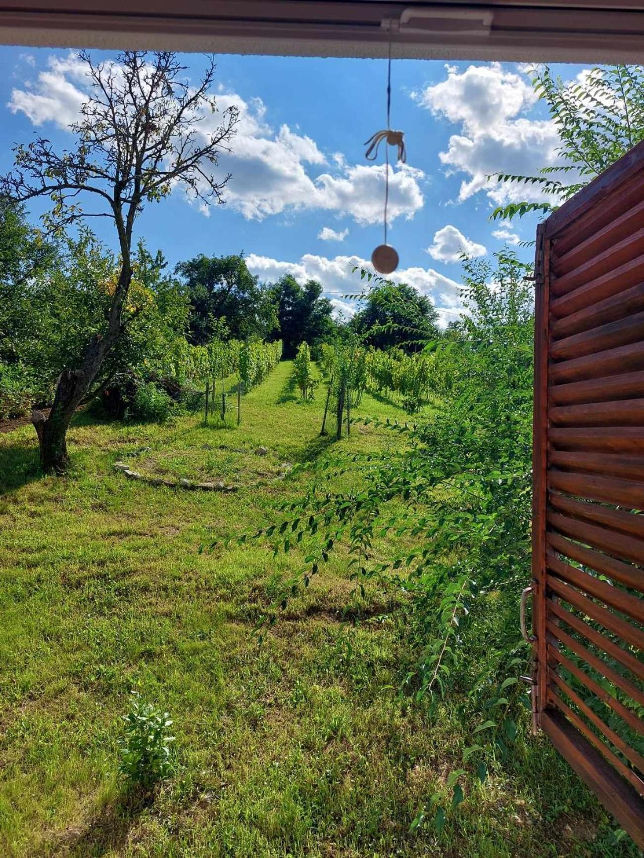 Villa Ágnes almái Ágnes apples Kisapati Exterior foto